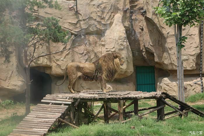 山东临沂动植物园自驾一日游