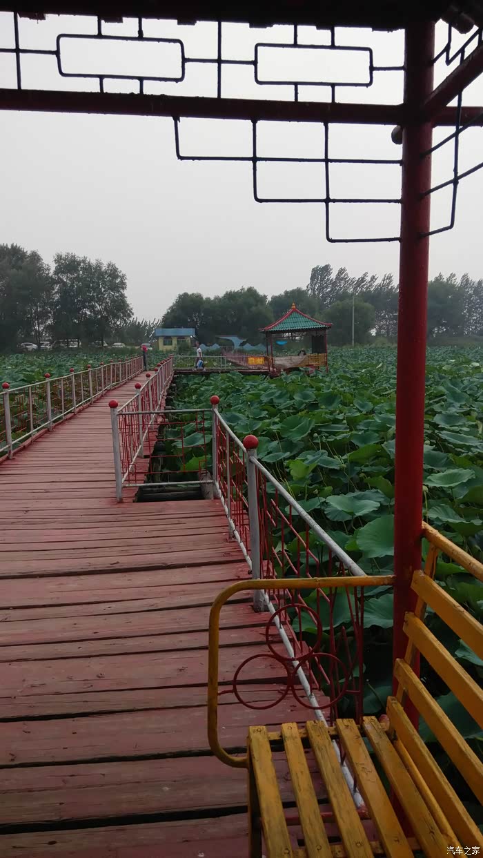 沈阳新民小西湖,仙子胡,珍珠湖