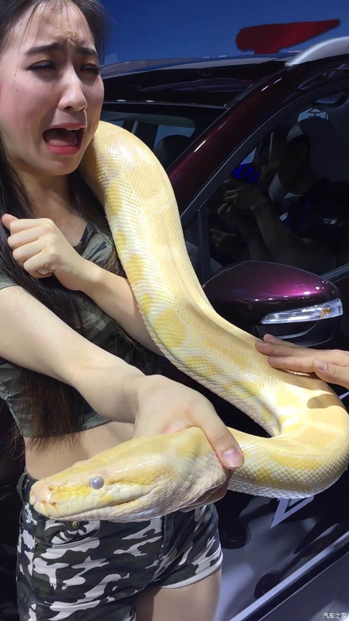 看美女与蛇美不美她说不要怕图多多