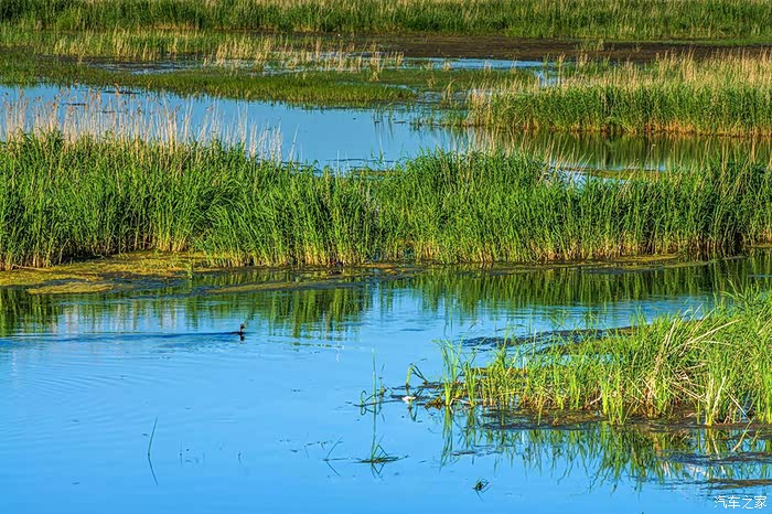 一片流----辉河湿地