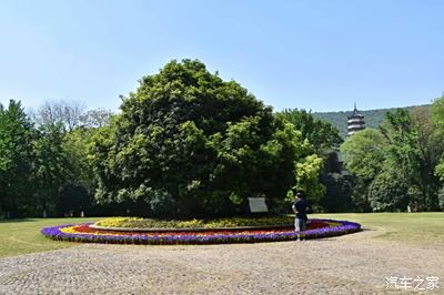 暖暖的幸福#自駕遊南京靈谷寺景區