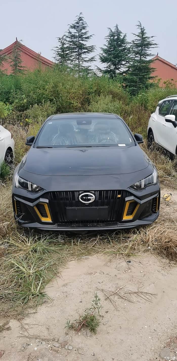 各个颜色的影豹集合啦