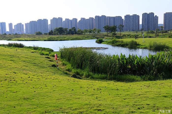 夏游洋湖体育公园