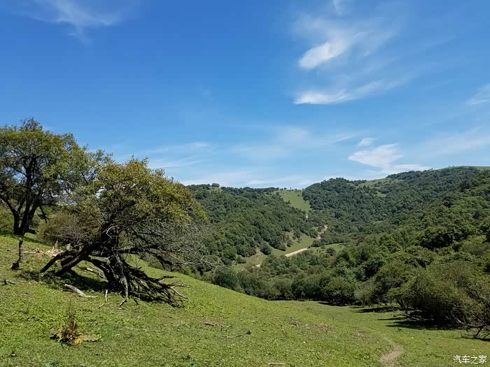 【激情夏日】陇县高寒川老爷岭 关山牧场游记