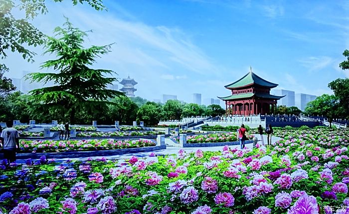 再次图说西安兴庆宫公园修整改造提升后的效果