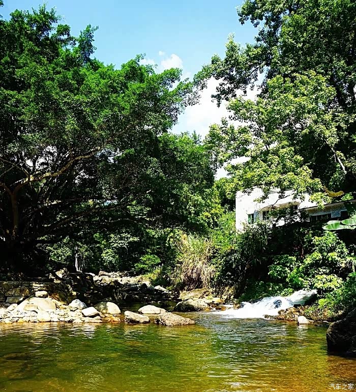 万物复苏送福利韶关之旅天井山林场