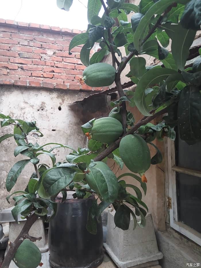 【图】山东之行开始了_启辰t70/t70x论坛_汽车之家论坛