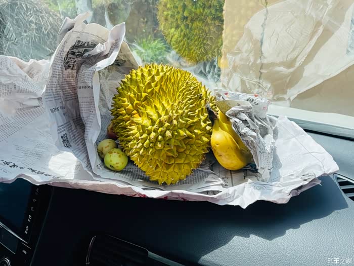 欧蓝德车内催熟榴莲如何?
