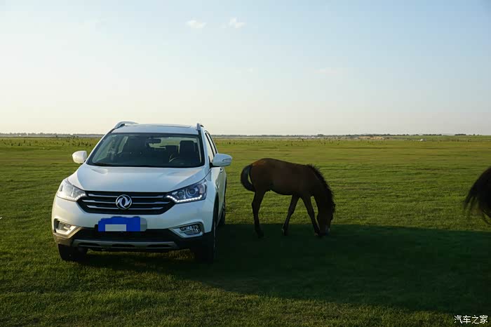 草原上的骏马——内蒙提车记