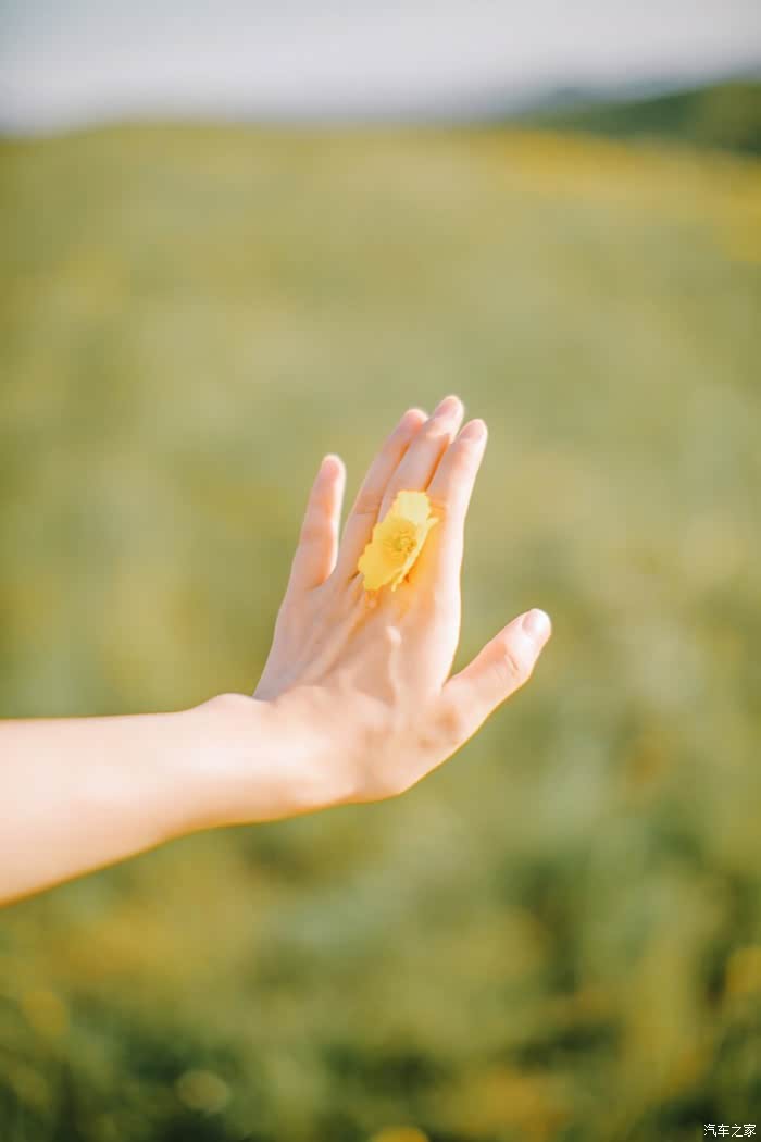 激情一夏欧洲杯相知相随的夏日每一寸阳光都充满欢喜