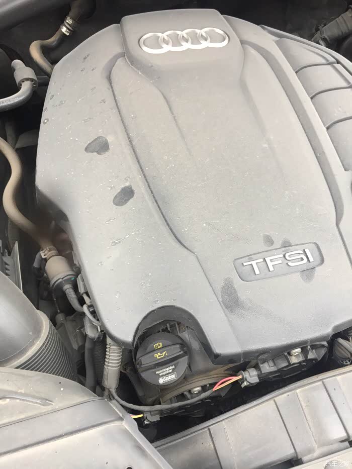 【图】机油加注口在哪?_奥迪q5/q5l论坛_汽车之家论坛