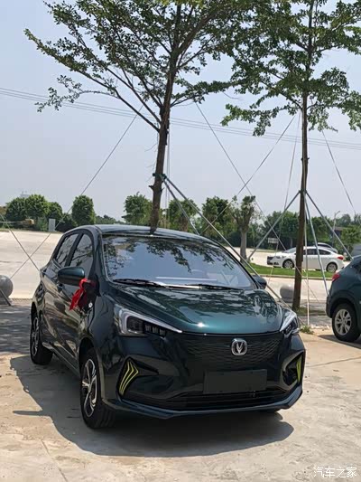 交作业了,喜提旷野绿_奔奔e-star论坛_手机汽车之家