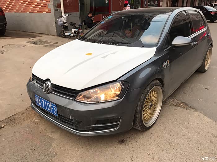 人中泰迪#老高的故事