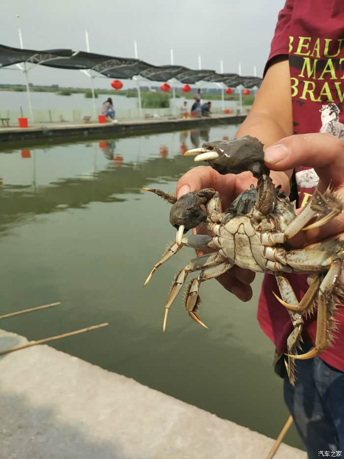 秋高气爽开ga8钓螃蟹去喽