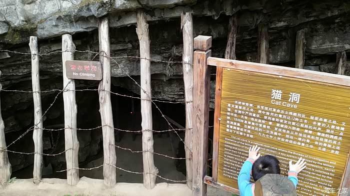 【图】百里杜鹃免费看花_贵州论坛_汽车之家论坛