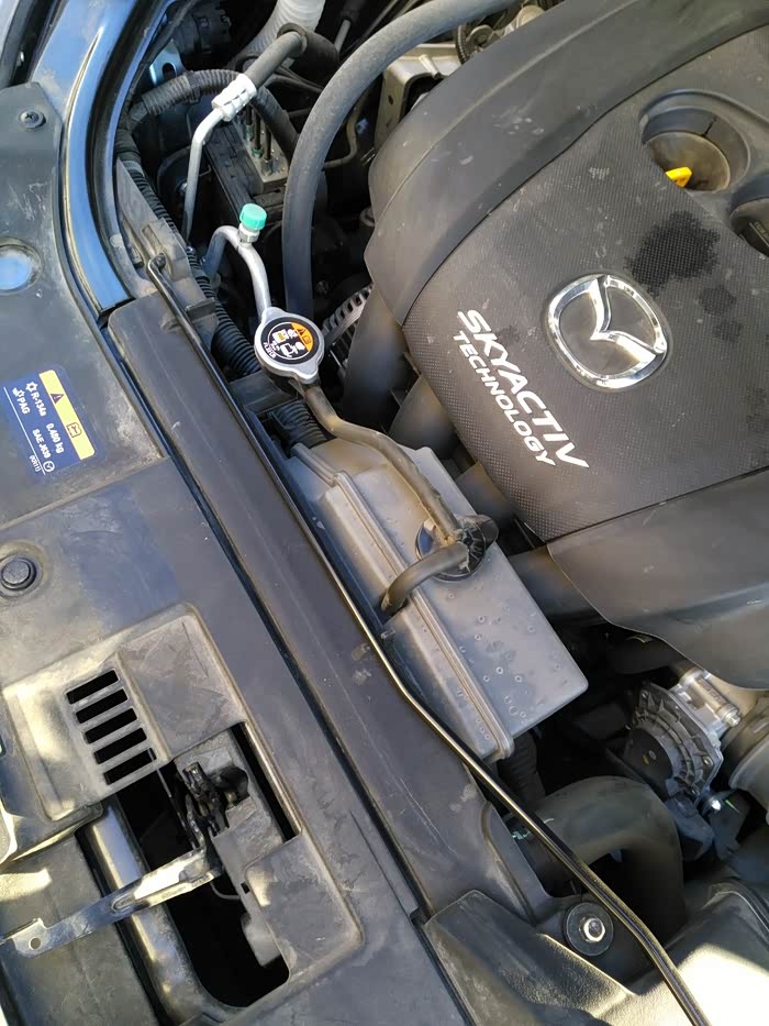 【图】哪一个是防冻液_马自达cx-5论坛_汽车之家论坛