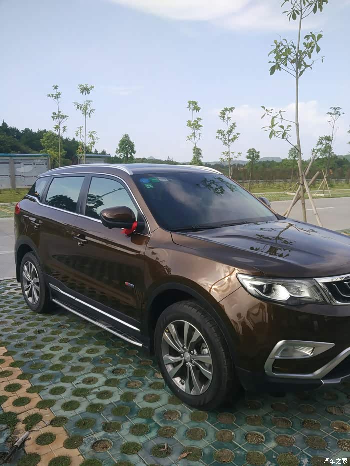 求玛瑙棕实车图片