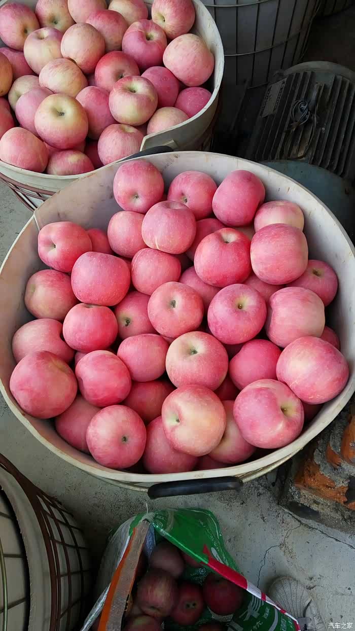 拉了一百多斤苹果,哈哈