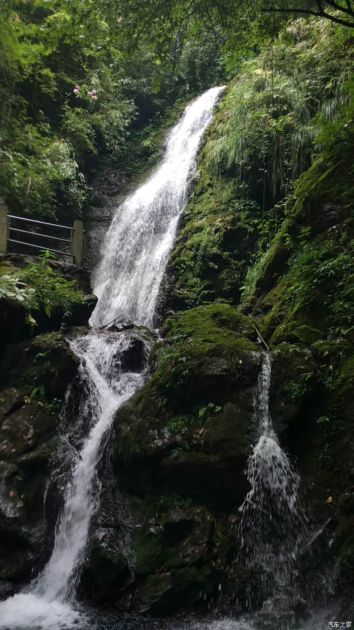 四川cs35车友会大象自驾游成都卧龙谷