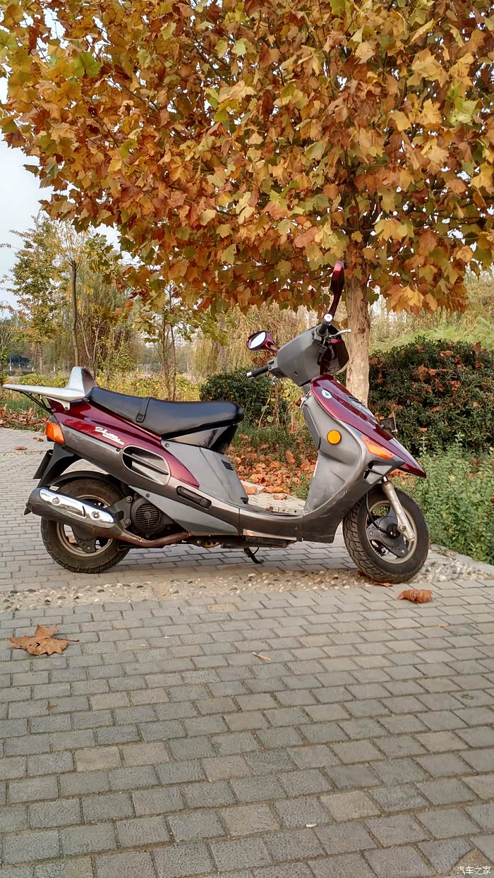 摩托车论坛_汽车之家论坛
