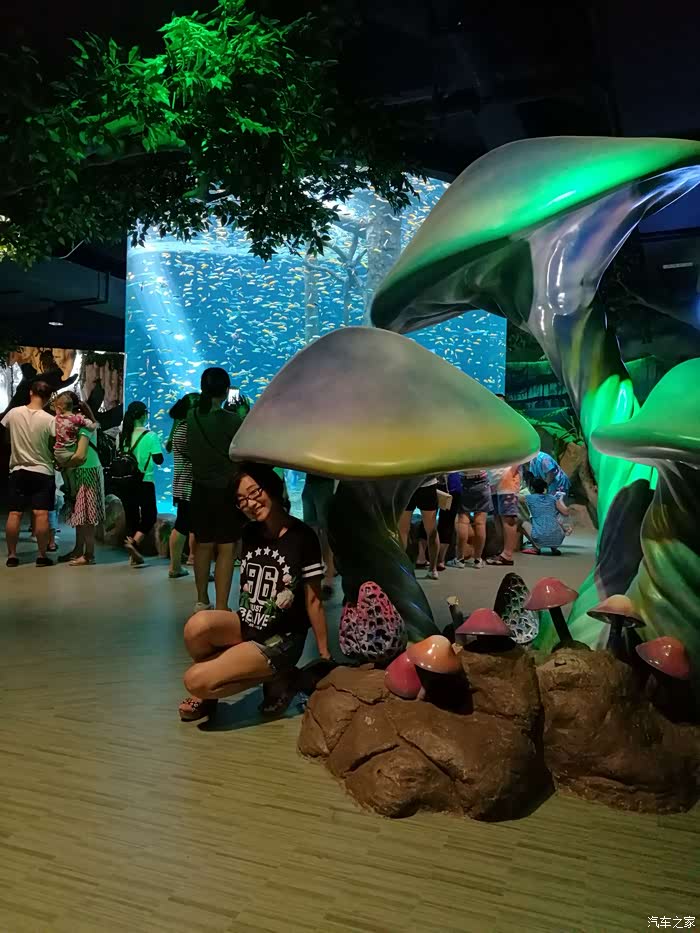 重庆市巴南区汉海海洋公园(第三章)