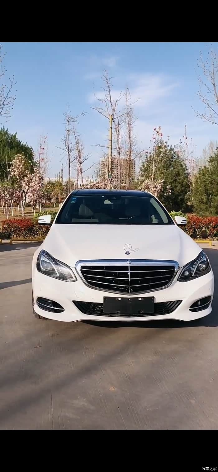 立标e260 帅气奔驰新王者