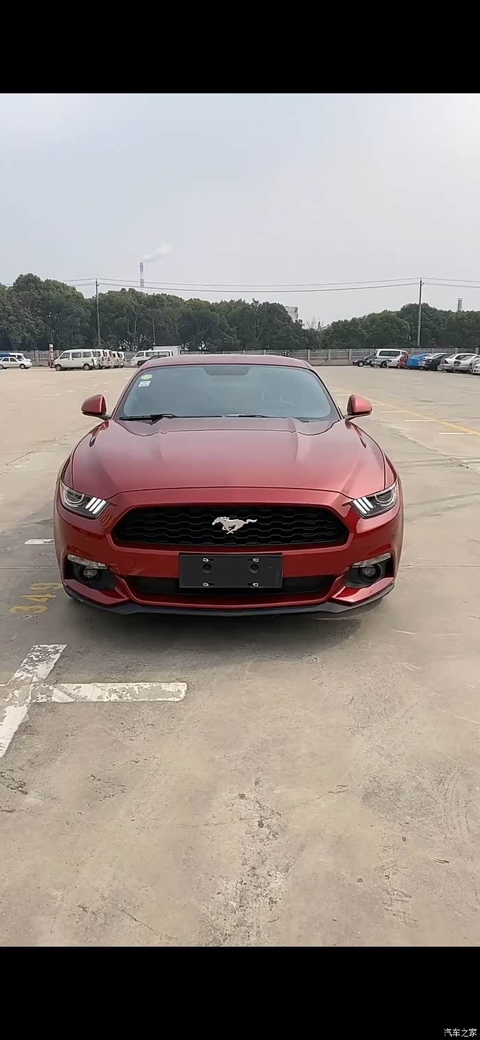 【图】最强烈焰战车 福特野马_精彩图集论坛_汽车之家论坛