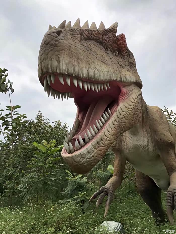 哎呦我的妈呀!这个张开嘴巴的仿真肉皮恐龙 好恐怖啊.