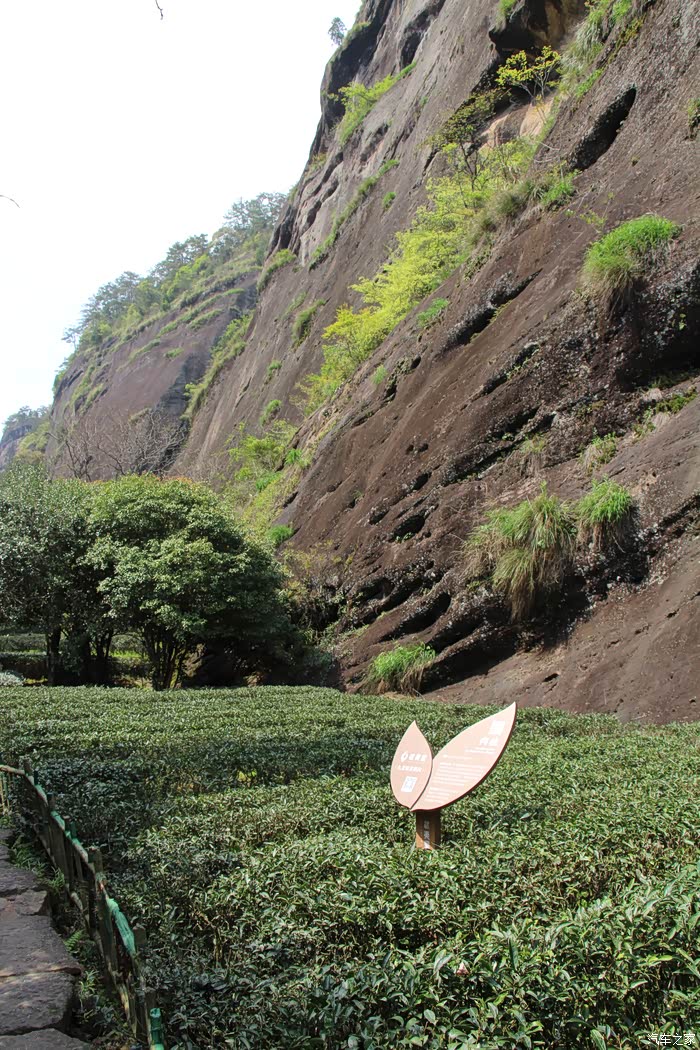 江浙赣闵皖自驾游之25福建省武夷山大红袍景区