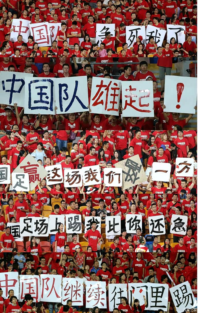 龙之队爱你恨你又来看你