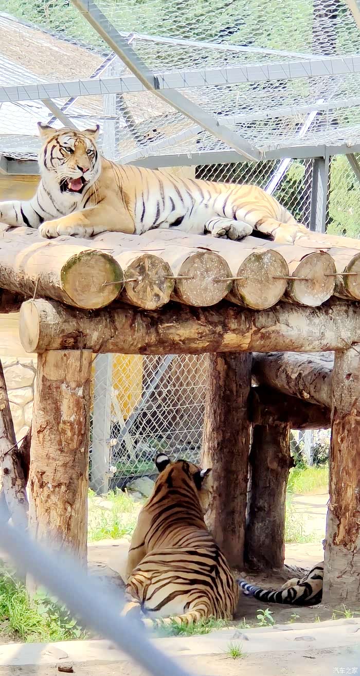 捷途旅行见闻哈尔滨至牡丹江东北虎园沿途景区风光