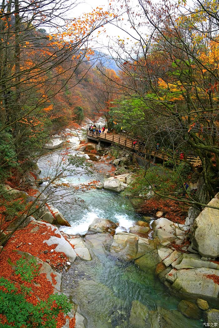 光雾秋韵彩叶舞蹁跹巴中南江光雾山游记