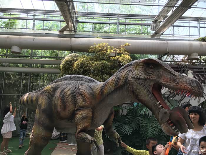 【无锡cs75车友会】喜迎中秋--观恐龙展