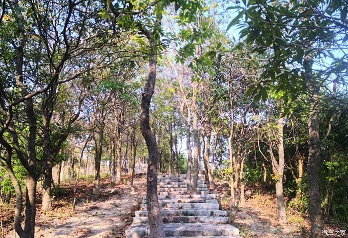 東莞南門山森林公園