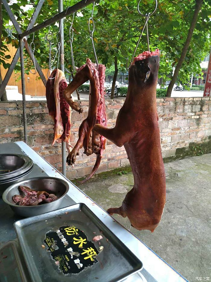 桂平狗肉图片