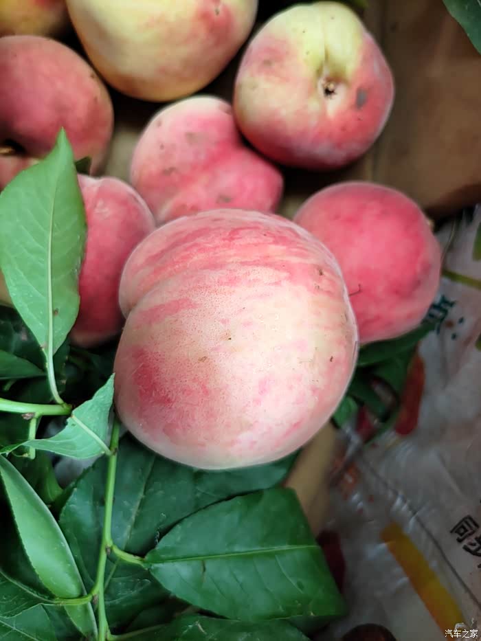 自驾爱车前往简阳采摘皮球桃