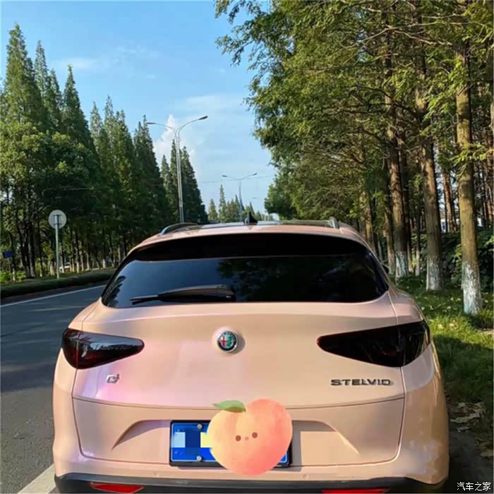 【图】阿尔法罗密欧 stelvio改装 电光樱花粉改色_阿尔法·罗密欧论坛