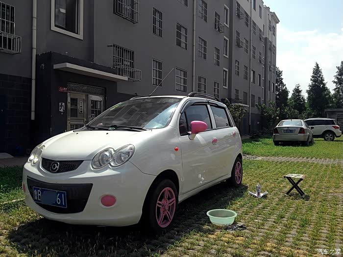 王子变公主陪伴我5年的海马王子的重生