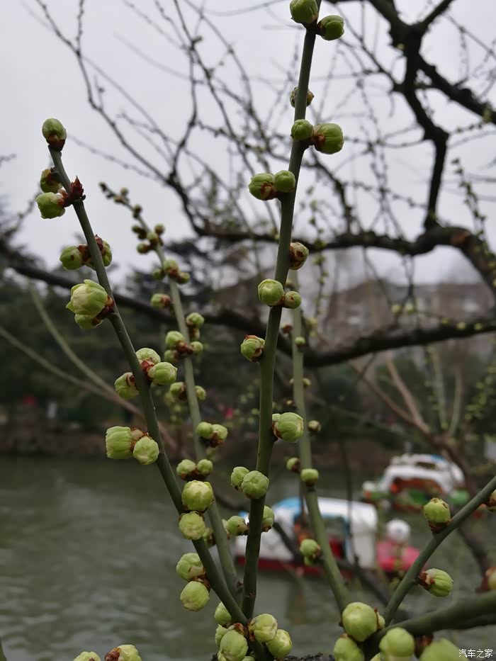 锐滕带我过大年-春节上海边周边自驾游