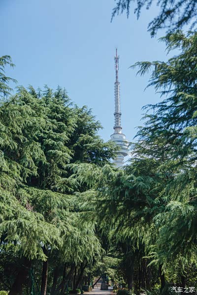 武汉周边游|自驾小龟山,绝绝子的一日轻氧