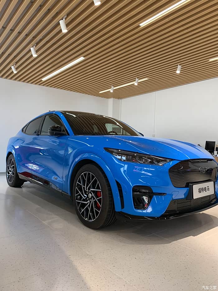 mustangmache多图实拍