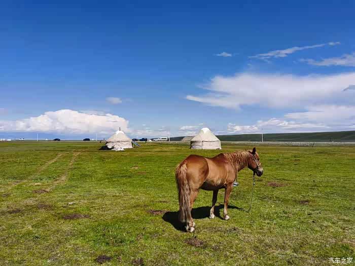 蓝天,白云,草原,蒙古包,骏马