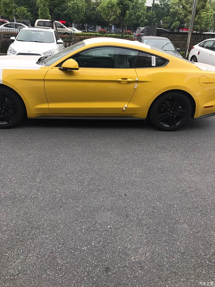 【图】杭州有想买黄色野马的吗_mustang论坛_汽车之家论坛