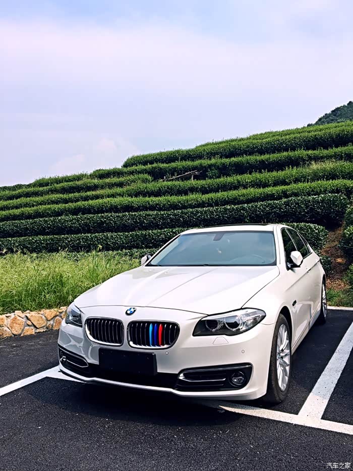 龙井产地宝马良驹