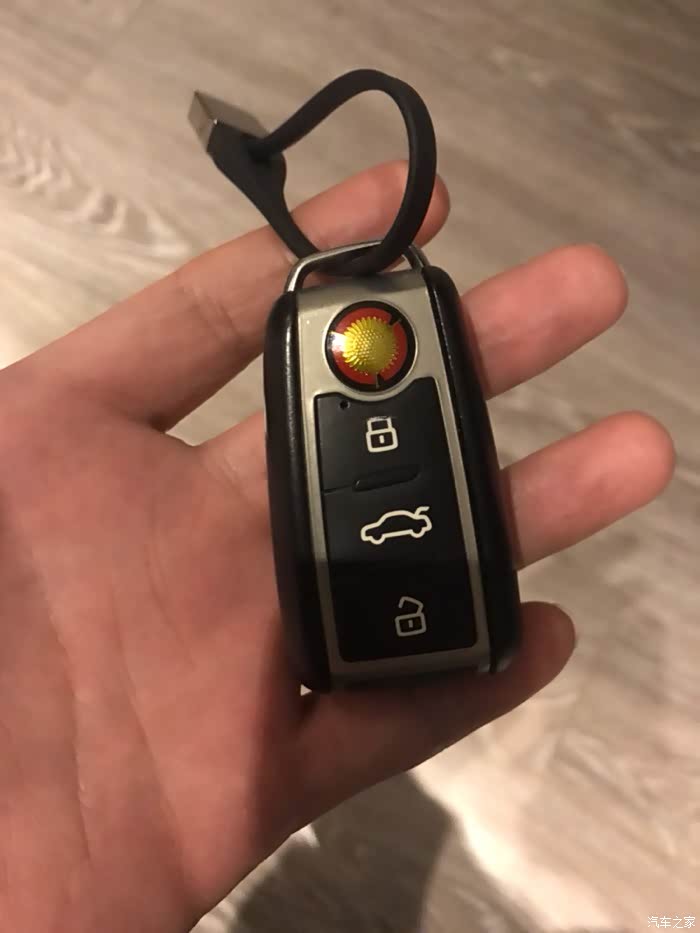 15款红旗h720t豪华版的钥匙带向日葵标吗