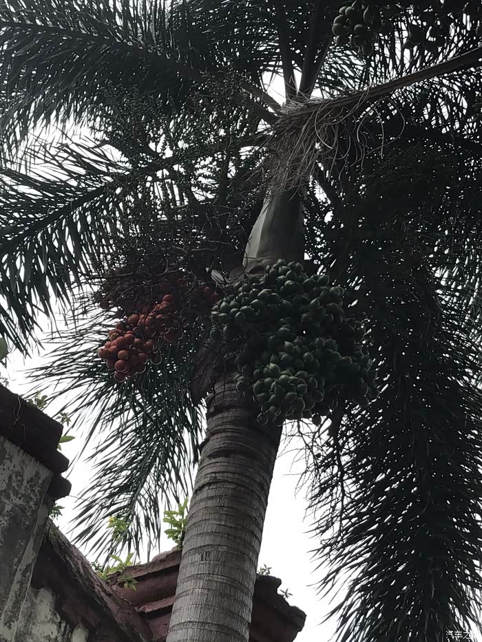 和你一起去看马六甲