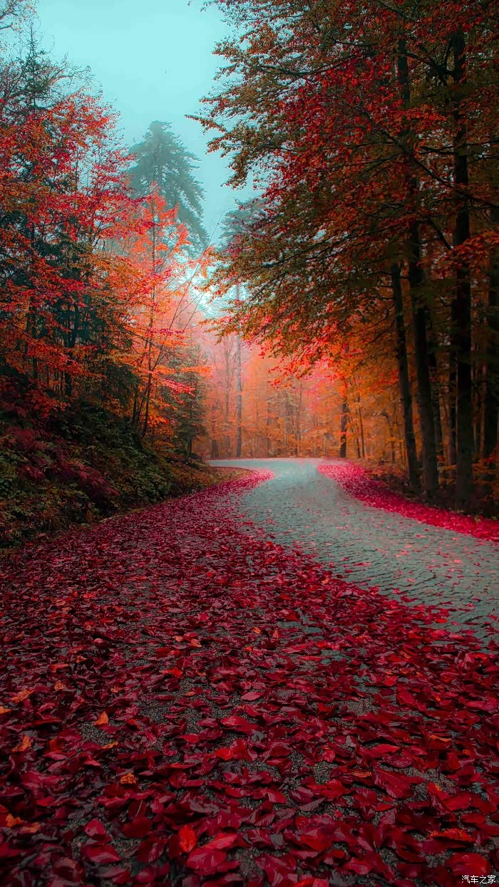 人见人爱花见花开