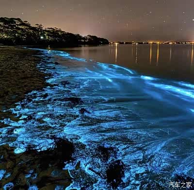 白城沙滩,著名的蓝眼泪,被我蹲到了,很幸运 不枉我蹲了3小时苦苦等待