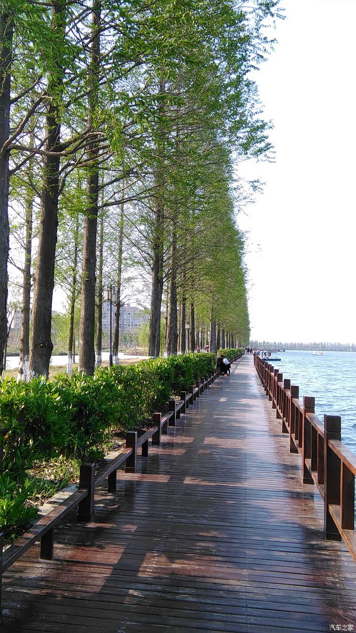 钟祥莫愁湖风景