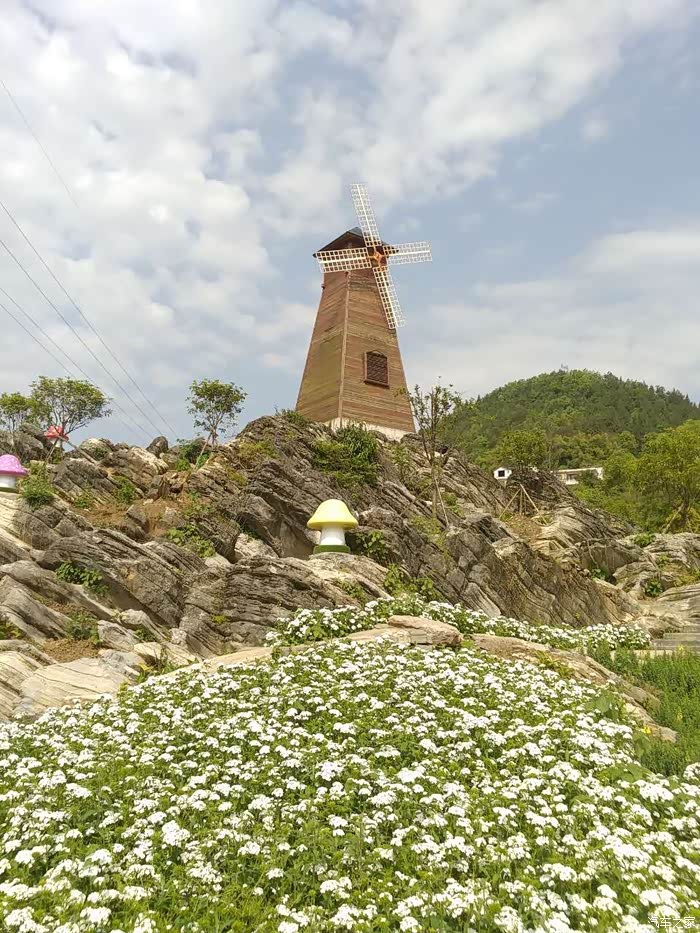 恩施土家女儿城花海美的不要不要滴